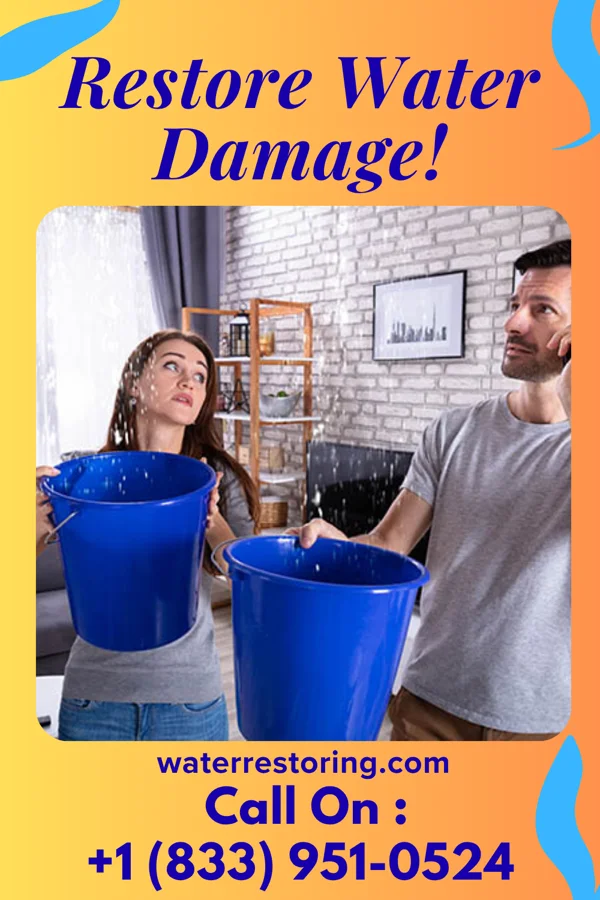 water restoration Vigilant Water Cleanup & Associates Penitas