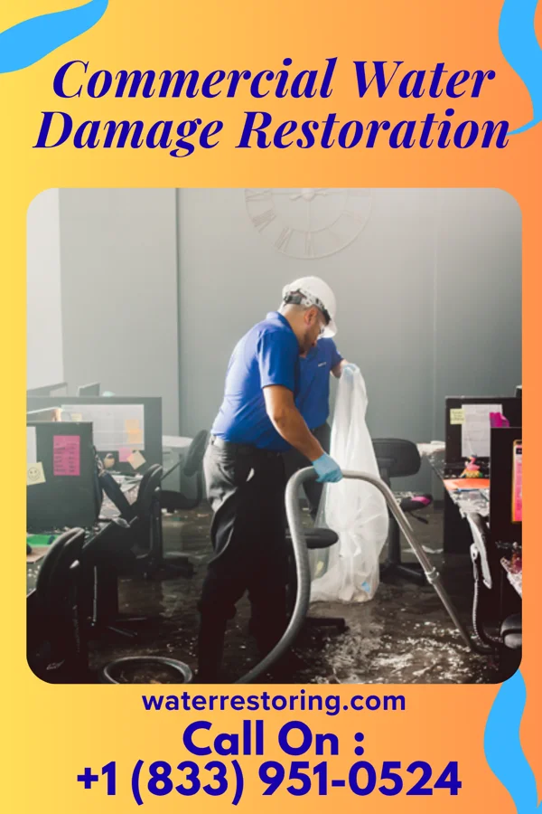 Commercial Water Damage Restoration in Penitas, TX