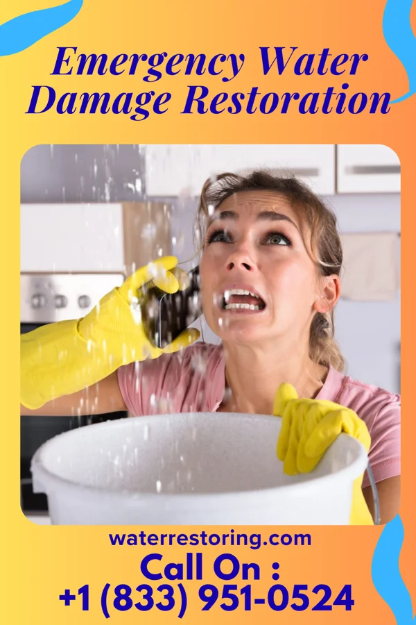 Emergency Water Damage Restoration in Penitas, TX