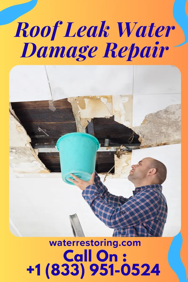 Roof Leak Water Damage Repair in Penitas, TX